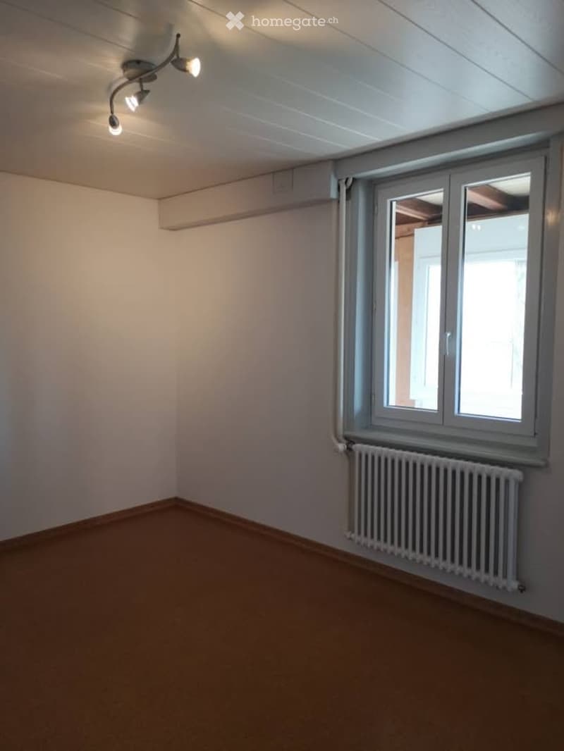 Empty room with beige walls, carpeted floor, and a single window with a radiator below it. The room has a ceiling light fixture with multiple bulbs.