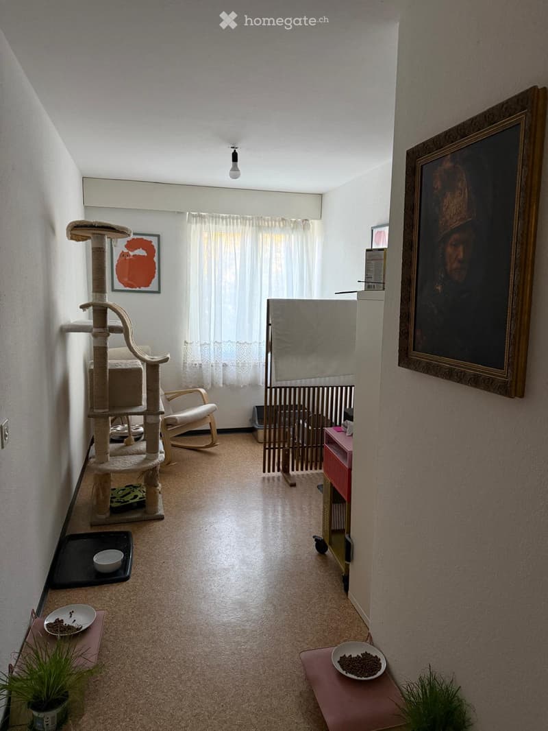 A furnished room with a cat tree, a chair, cat bowls, and plants. The room has a carpeted floor and white walls.
