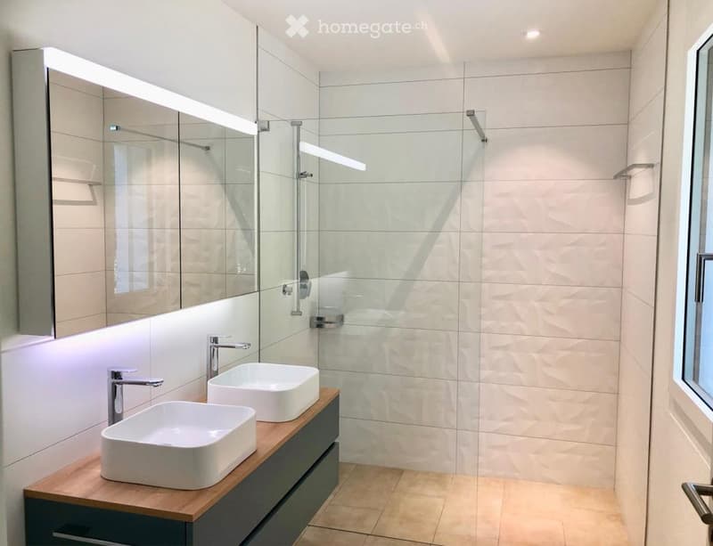 Modern bathroom with two white sinks on a wooden vanity, large mirrored cabinet with built-in lighting, and a glass-enclosed shower area.