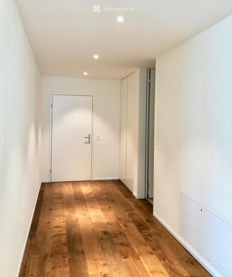 Empty hallway with light wooden flooring, white walls, and recessed ceiling lighting. Features a closed white door and built-in white cabinetry on one side.