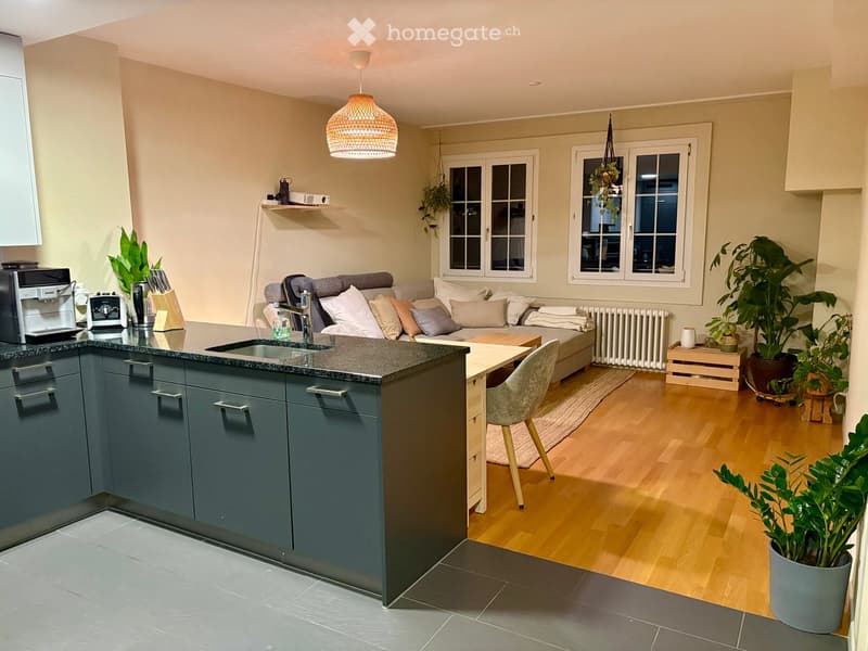 Open-plan living and kitchen area with a grey sofa, coffee table, kitchen island, and various appliances. The space features wooden flooring, large windows, and several potted plants.