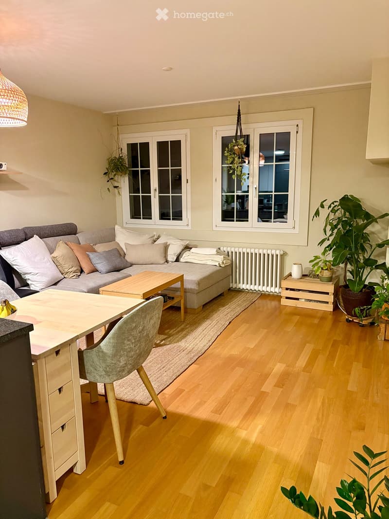 A modern living room with a grey sectional sofa, wooden coffee table, dining table, and chairs. Features large windows, wooden flooring, and several potted plants.