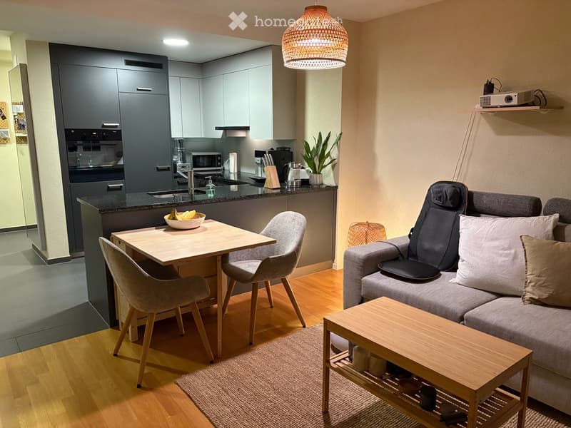 Wohnung in Ennetbaden (3)