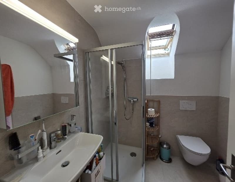 Modern bathroom with a white sink, mirror, shower stall, toilet, and a small wooden shelf holding toiletries. The room features a skylight window and a towel hanging on the wall.