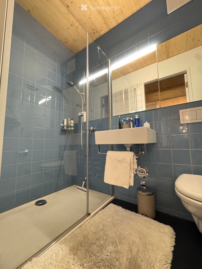 Modern bathroom with blue tiled walls, a glass-enclosed shower, a white sink, a toilet, and a fluffy white rug on the floor.