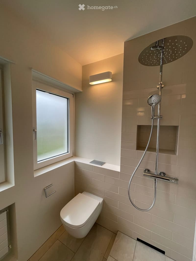 Modern bathroom with a toilet, large shower head, and built-in shelf. Features a window with frosted glass and a sleek light fixture on the wall.