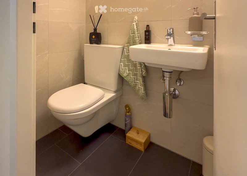 Modern bathroom with a toilet, sink, towel, soap dispenser, and decorative items.