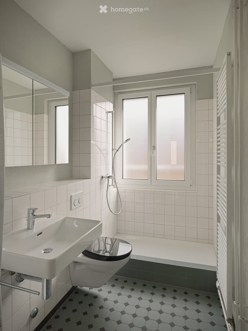 Modern bathroom with white tiles, hexagonal floor tiles, a white sink with a chrome faucet, a toilet, a shower with a glass door, a large mirror, and a radiator.