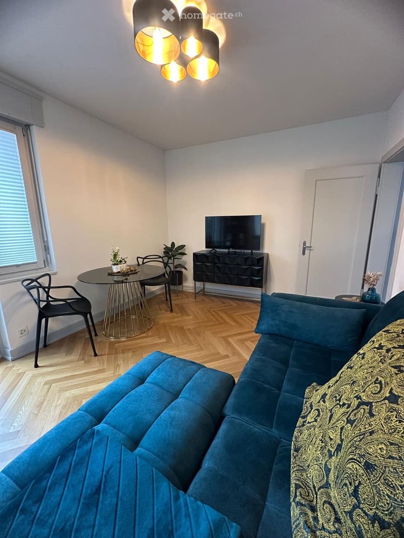 Modern living room with a blue sofa, coffee table, TV, dining table, chairs, and decorative plants.