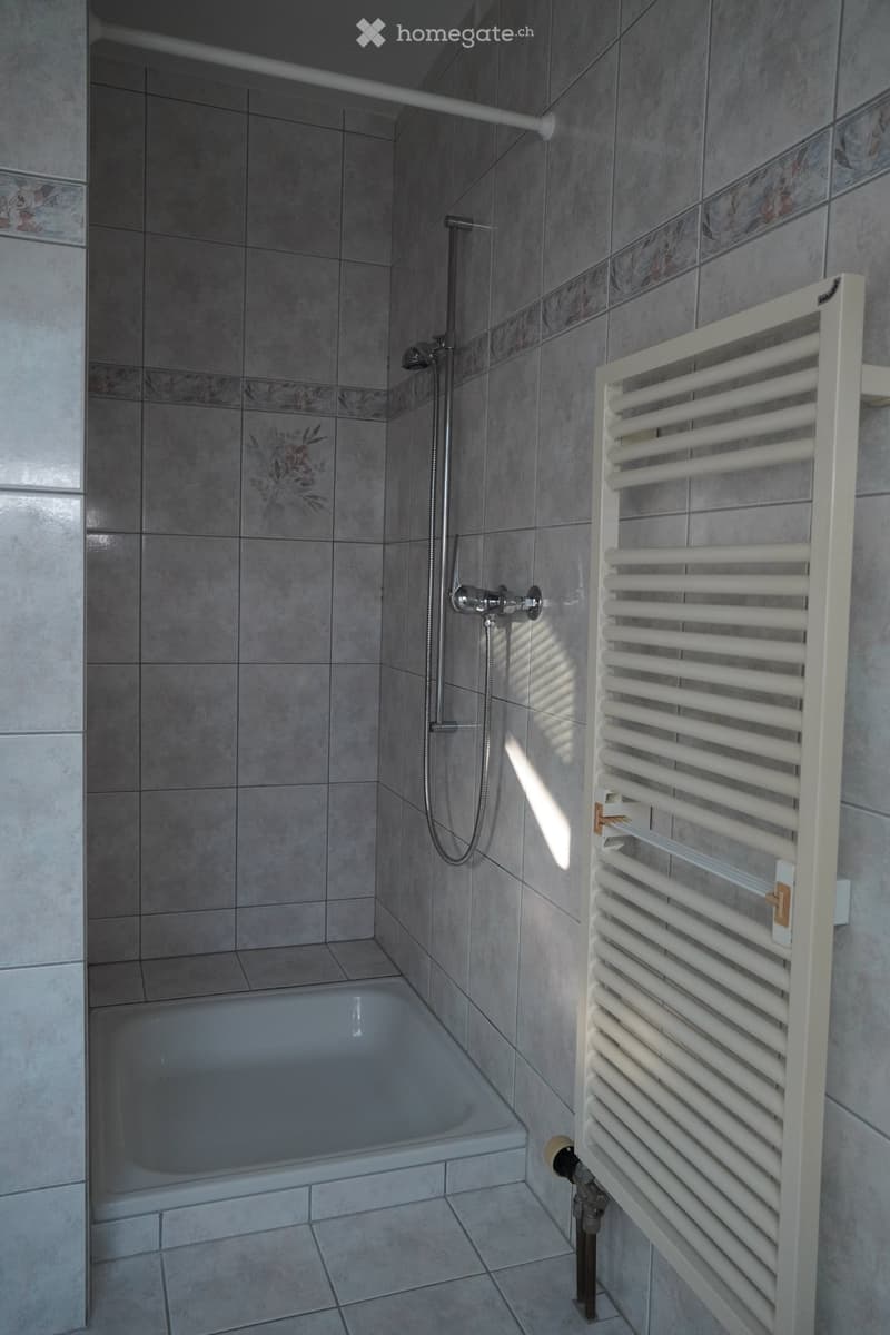 Modern bathroom with a bathtub, shower, and radiator. The walls are tiled with a decorative border, and the floor is tiled.