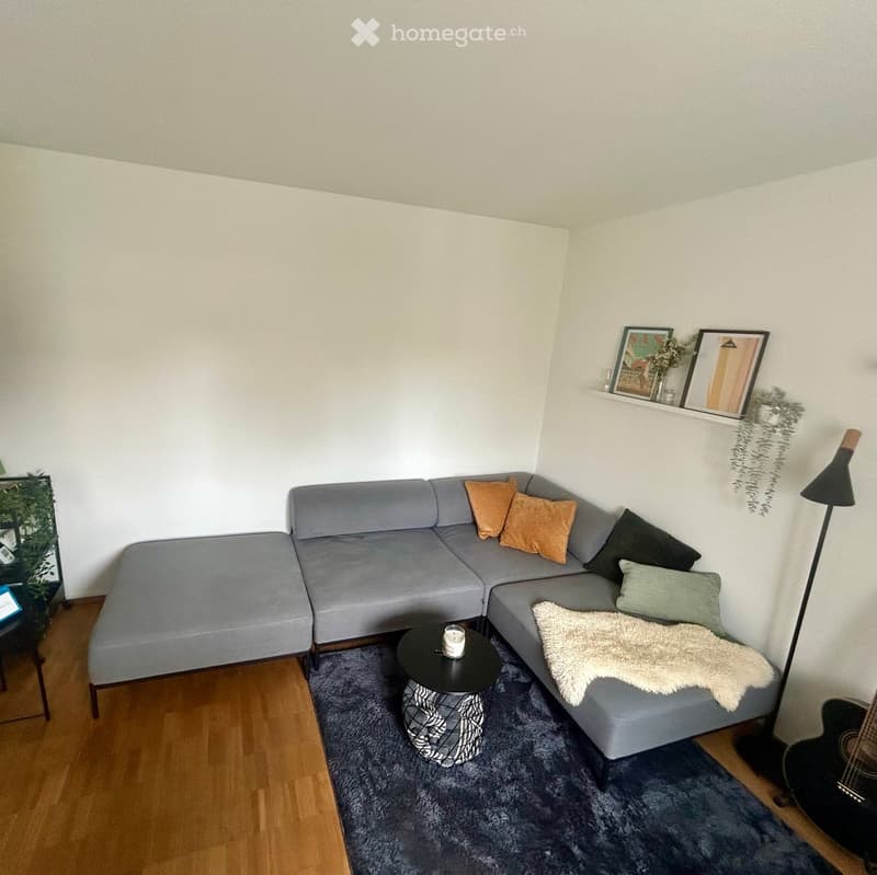 Modern living room with a grey sectional sofa, coffee table, floor lamp, and decorative items on a shelf.