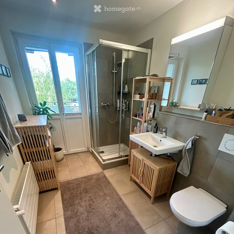 Modern bathroom with a glass-enclosed shower, a white sink with wooden cabinet, a toilet, a wooden shelf, a towel, a plant, and a radiator.