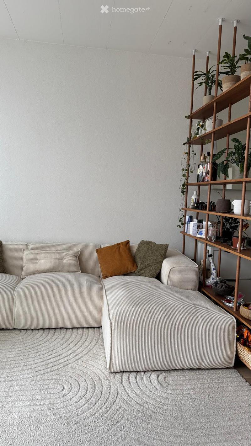 Modern living room with a white textured sofa, decorative pillows, a wooden shelf with plants and bottles, and a patterned white rug.