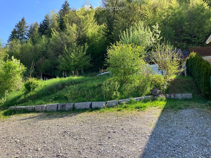Gravel driveway leading up to a stone retaining wall, surrounded by lush green grass and trees, with a small house visible in the background.