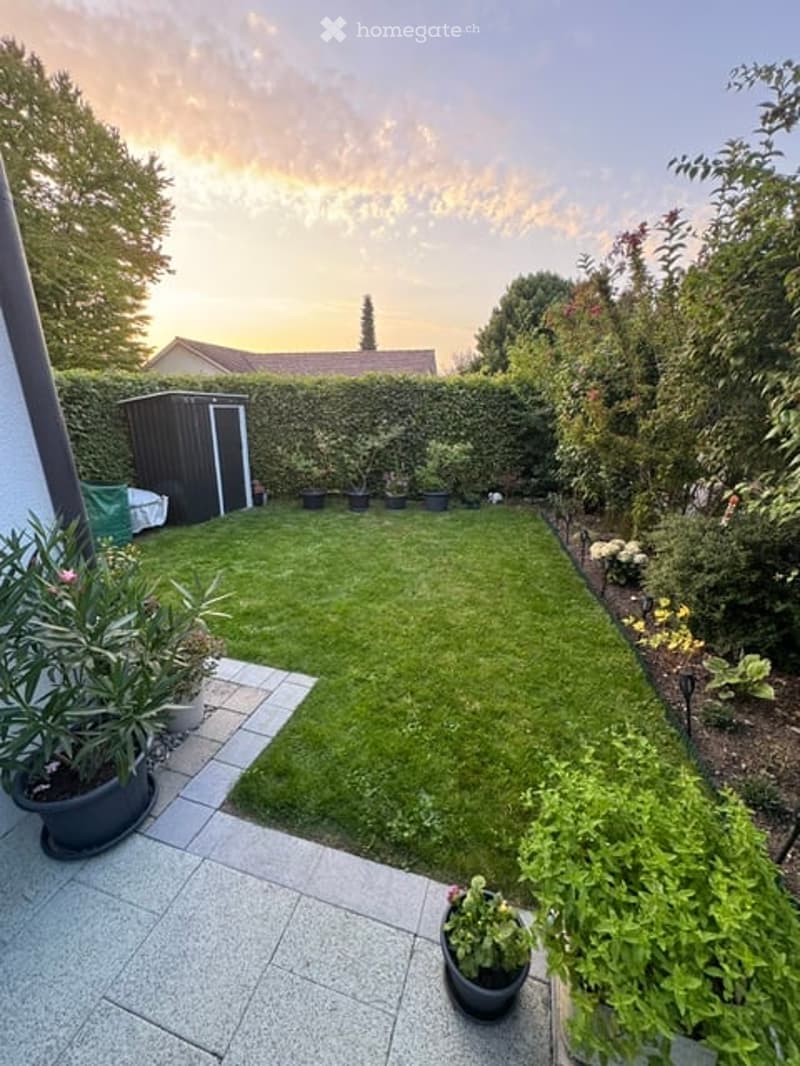 Well-maintained garden with a neatly trimmed lawn, surrounded by a hedge and various potted plants. A small shed is visible in the background, and the setting sun casts a warm glow over the scene.