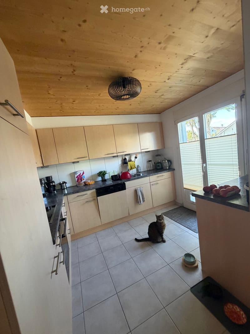 Modern kitchen with light wooden cabinets, tiled floor, and a cat sitting in the center. Appliances include a dishwasher, oven, coffee maker, and blender. A bowl and fruits are placed on the counter.