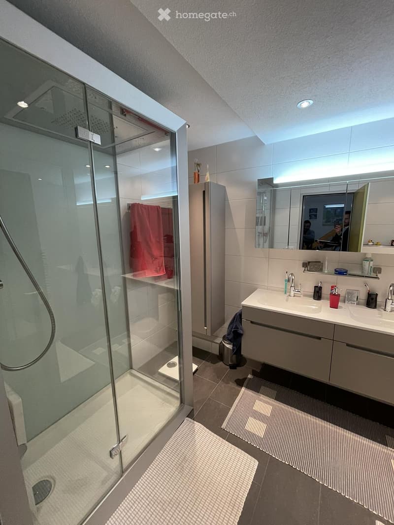 Modern bathroom with a glass-enclosed shower, double sink, large mirror, and built-in cabinets. Features include a red towel, a small trash bin, and a sleek, contemporary design.