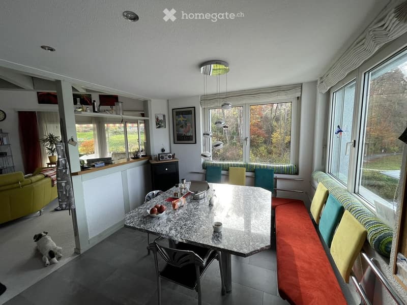 Bright living and dining area with large windows, a sofa, a dining table with chairs, a bench, and a small plant. The space features a modern design with a mix of colorful cushions and a sleek, reflective dining table.