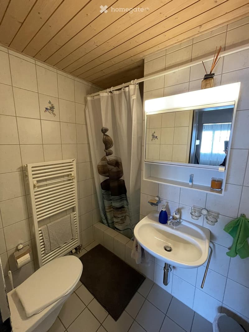 Bathroom with a toilet, sink, mirror, towel rack, and shower area with a curtain. Includes a soap dispenser, cups, and a towel on the rack.