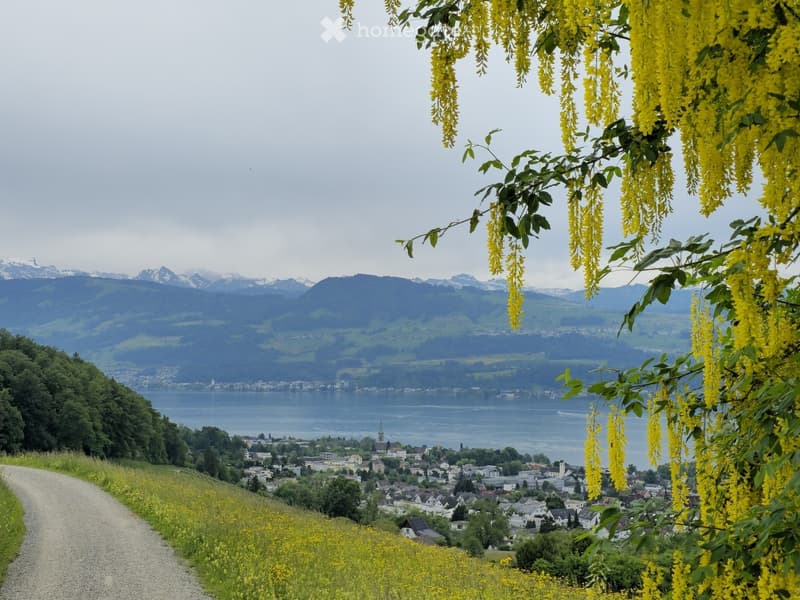 Scenic view of a town by a lake with mountains in the background, featuring a gravel path and yellow flowers in the foreground.
