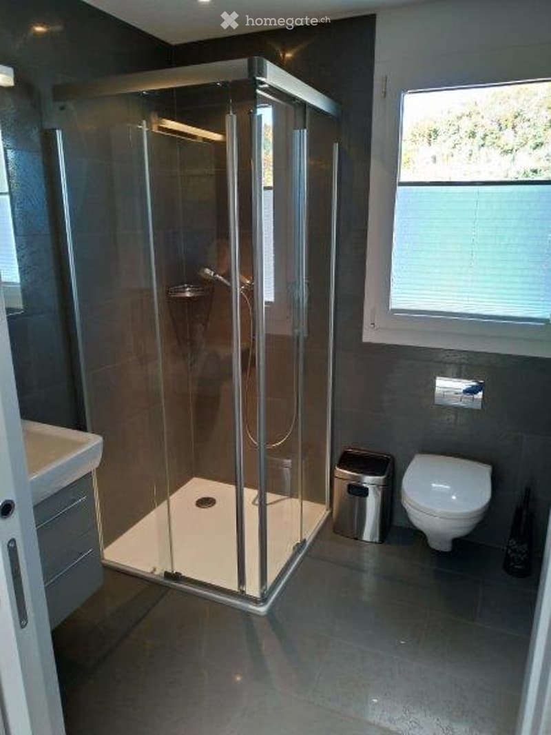 Modern bathroom with a glass-enclosed shower stall, toilet, sink, and a small trash bin. The walls are tiled in dark grey, and the floor is also dark grey.