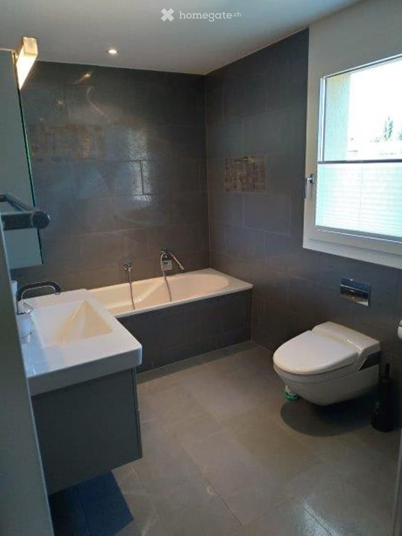 Modern bathroom with dark grey tiles, white fixtures, and a large window providing natural light.
