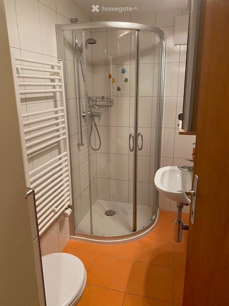 Modern bathroom with a glass-enclosed shower stall, white toilet, sink, and towel rack. The floor is tiled in orange, and the walls are white.