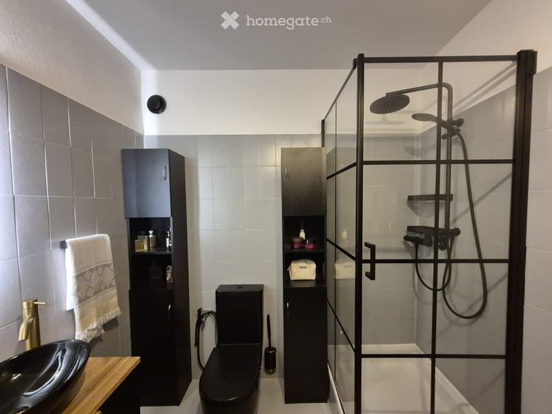 Modern bathroom with a black sink, toilet, and glass-enclosed shower with a handheld showerhead. Features include a towel on a rack, dark cabinets, and a sleek design.