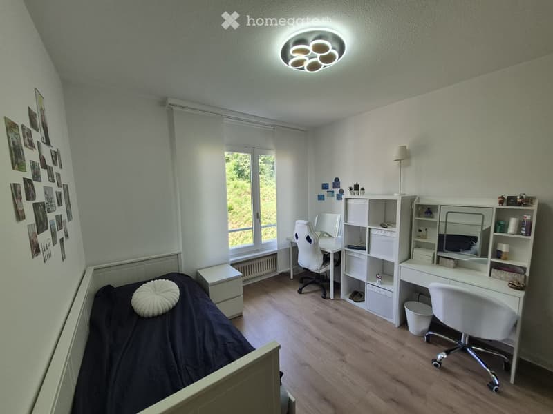 Cozy bedroom with a single bed, desk, chair, shelves, and a large window with blinds. The room features a modern ceiling light and a small round rug on the bed.