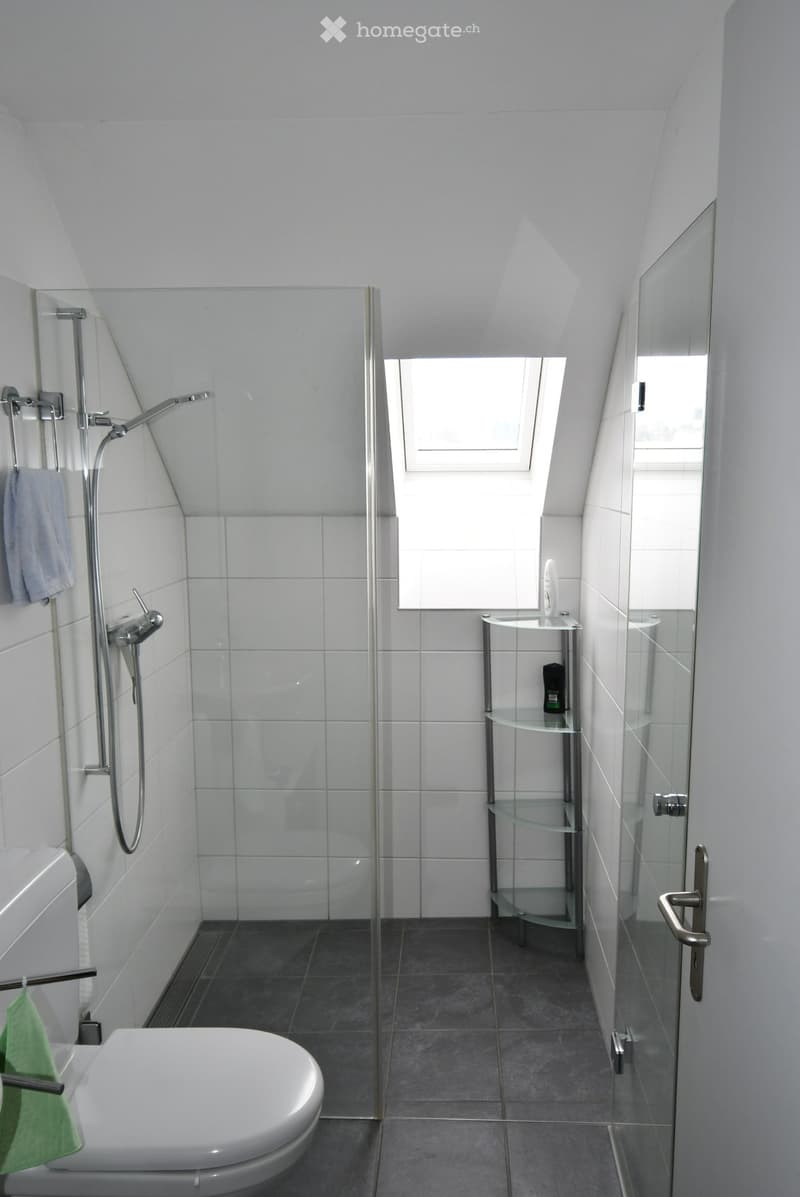 Modern bathroom with white tiles, a glass-enclosed shower, a toilet, a small glass shelf, and a mirror. Natural light comes through a skylight window.