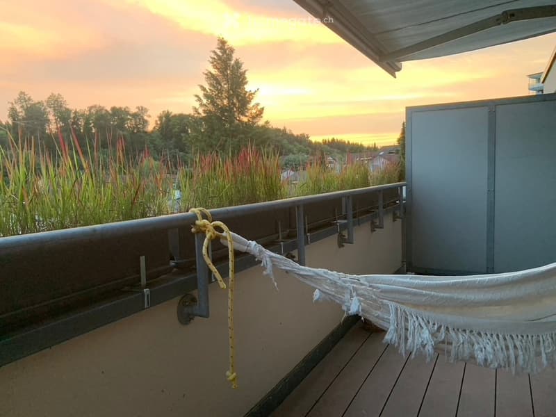 Terrace with hammock, wood floor, metal railing, view of sunset over trees