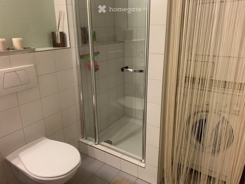 shower, toilet, washing machine