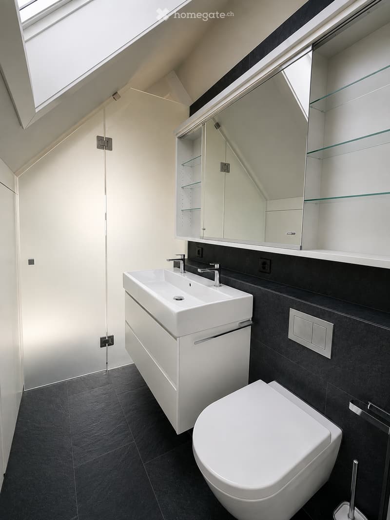 Modern bathroom with white sink, toilet, mirrored cabinet, and sleek black tiles on walls and floor.