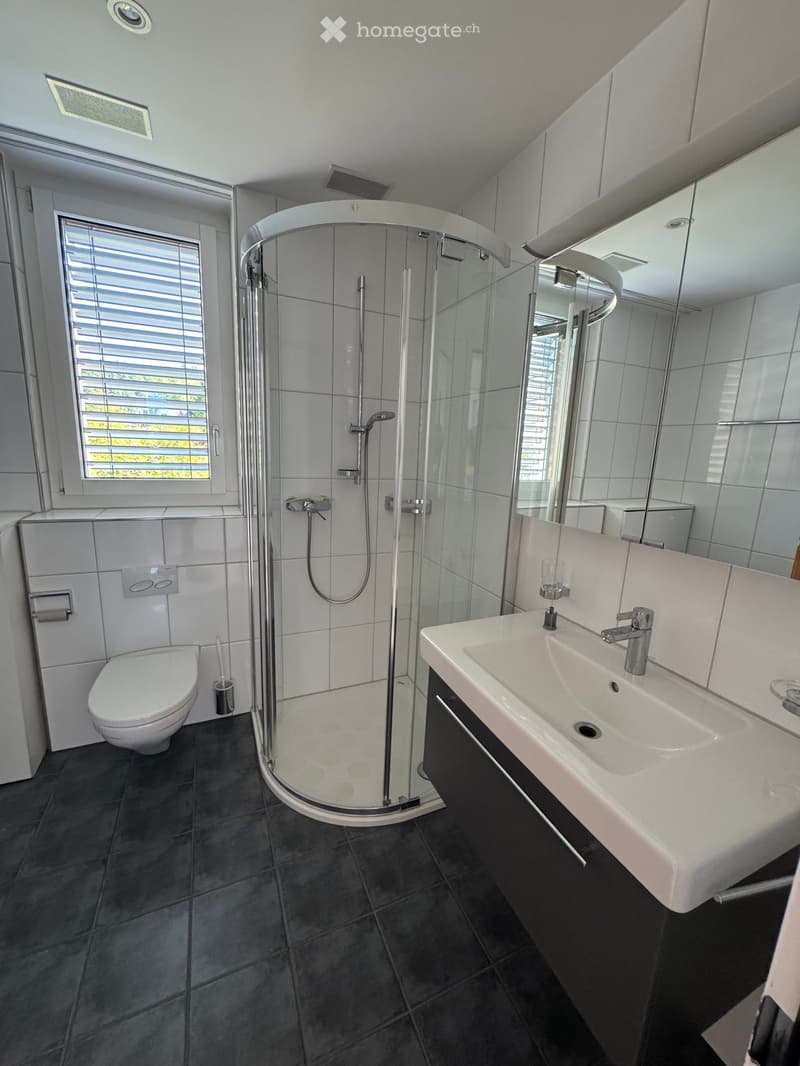 Modern bathroom with a glass-enclosed shower, toilet, sink, and large mirror. Features dark tiled flooring and white tiled walls.