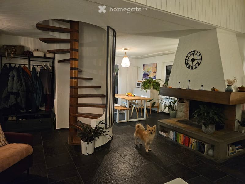 A modern, open-concept living and dining area with a dark tiled floor, a cozy sofa, a dining table with chairs, a fireplace with a clock, and several potted plants. A small dog is standing in the center of the room.