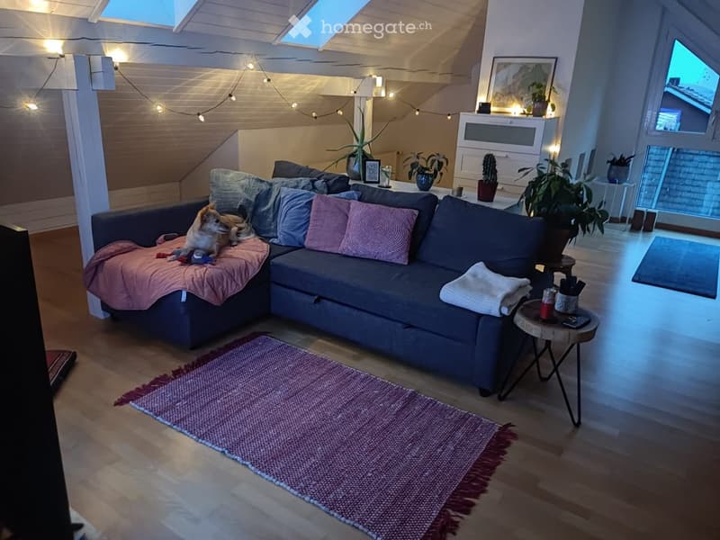 Modern living room with a grey sectional sofa, pink throw blanket, side table, small round coffee table, and potted plants. The room features wooden flooring and large windows with a view.