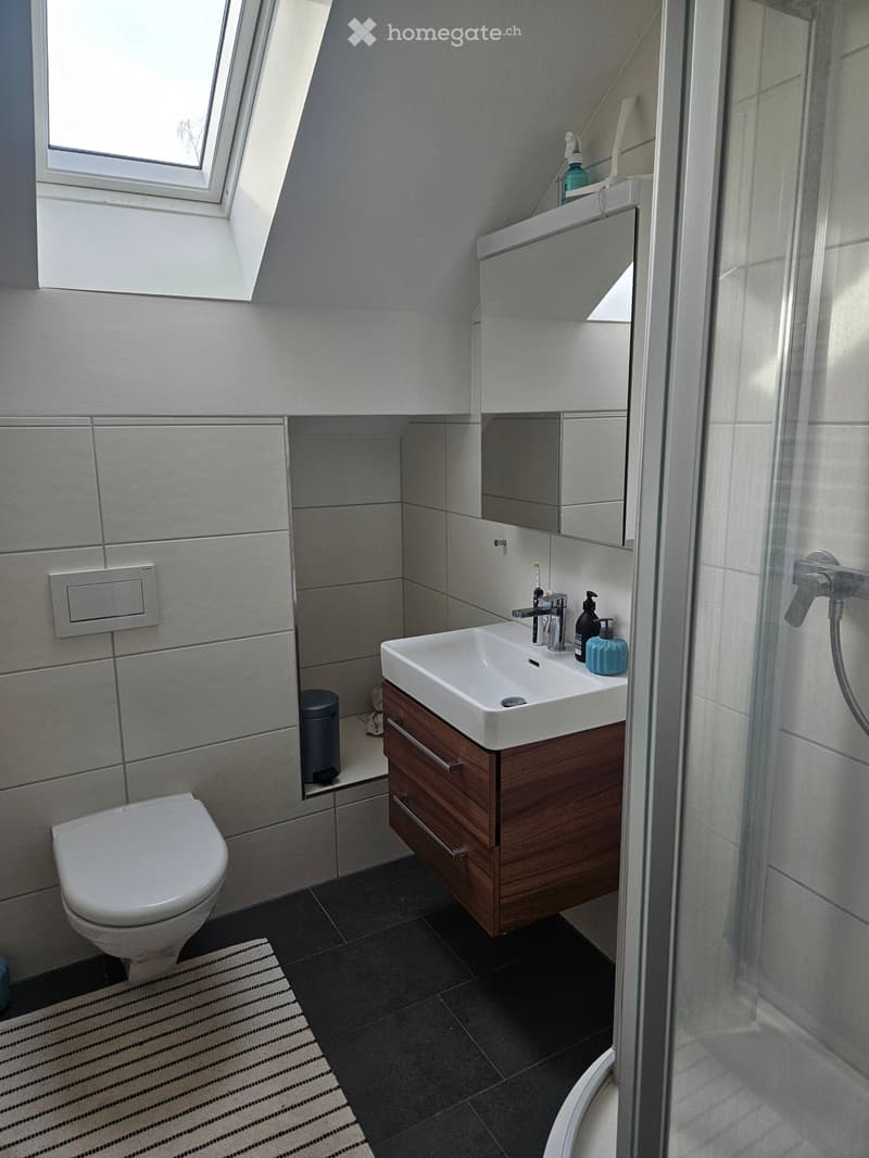 Modern bathroom with a white toilet, a wooden vanity with a sink, a mirror, and a glass-enclosed shower. The room features grey tiles and a small window with a skylight design.