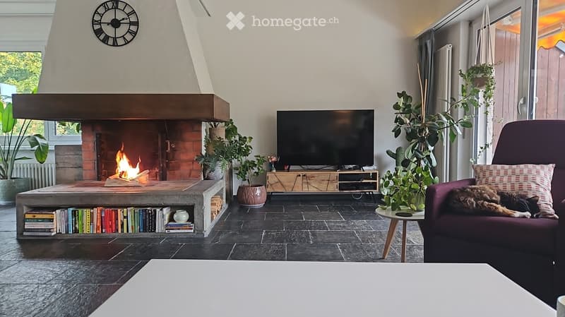Modern living room with a brick fireplace, a purple sofa, a television, a bookshelf, and several potted plants.