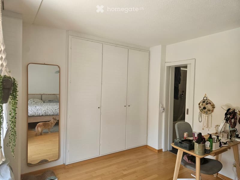 A well-lit room with a large mirror, a wardrobe, a small table with various items, a hanging plant, and a dreamcatcher on the wall. A dog is visible in the reflection of the mirror.
