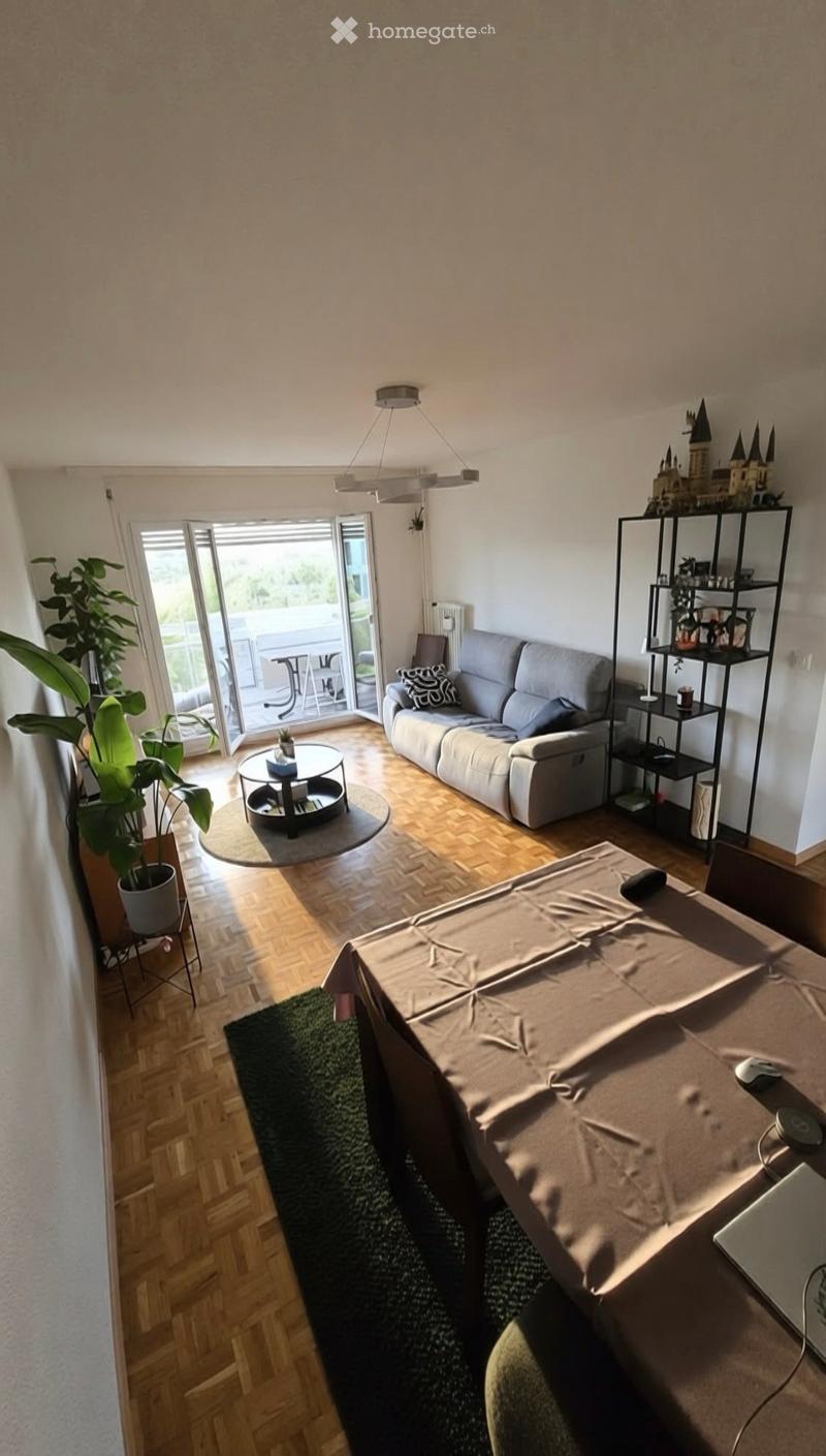 Modern living room with wooden flooring, large window, sofa, coffee table, laptop, and decorative shelf.