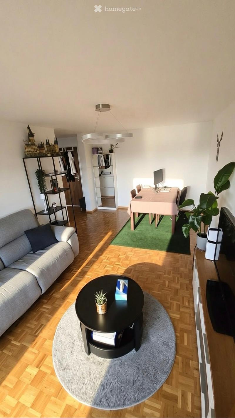 A modern living room with a grey sofa, a black coffee table, a dining area with a pink table and chairs, and a TV stand with a screen. The room features wooden flooring, a large rug, and several plants.