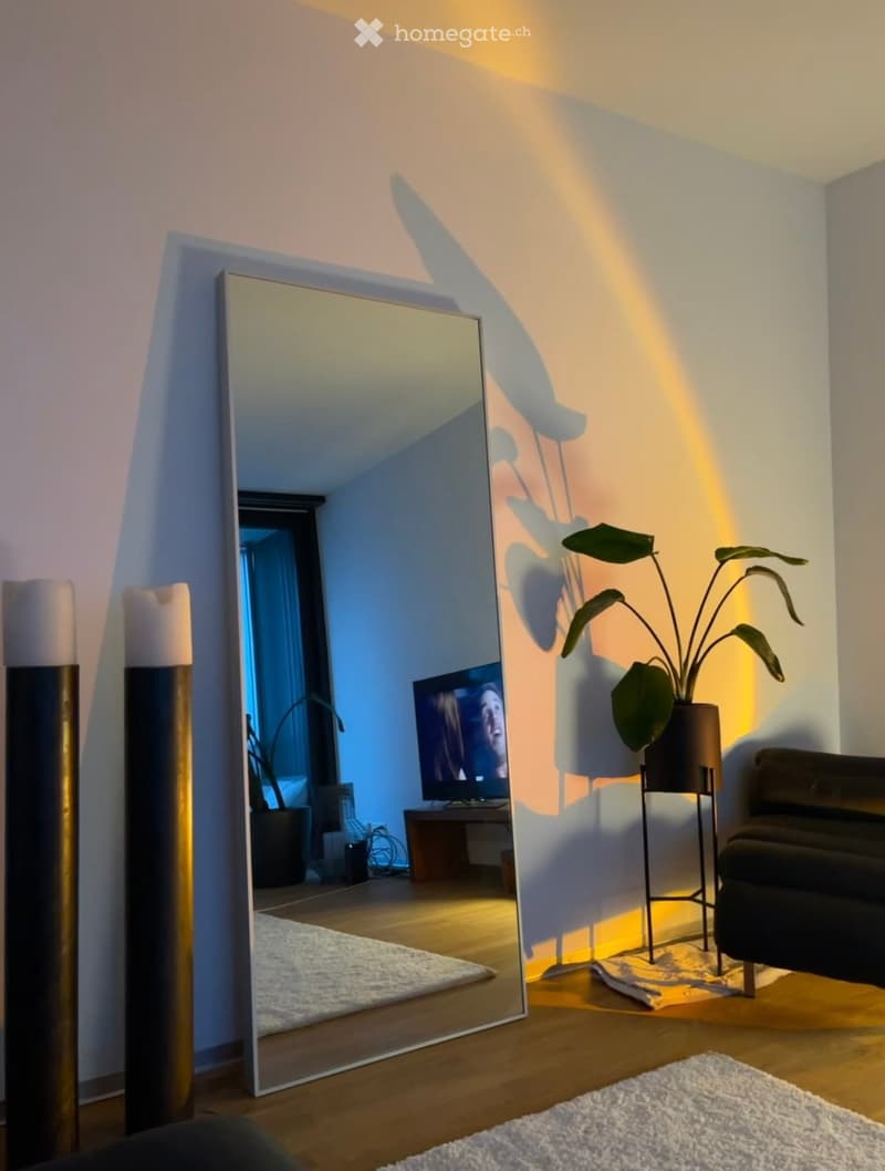 A modern living room with a large mirror, a potted plant, a sofa, a television, and a wooden floor.