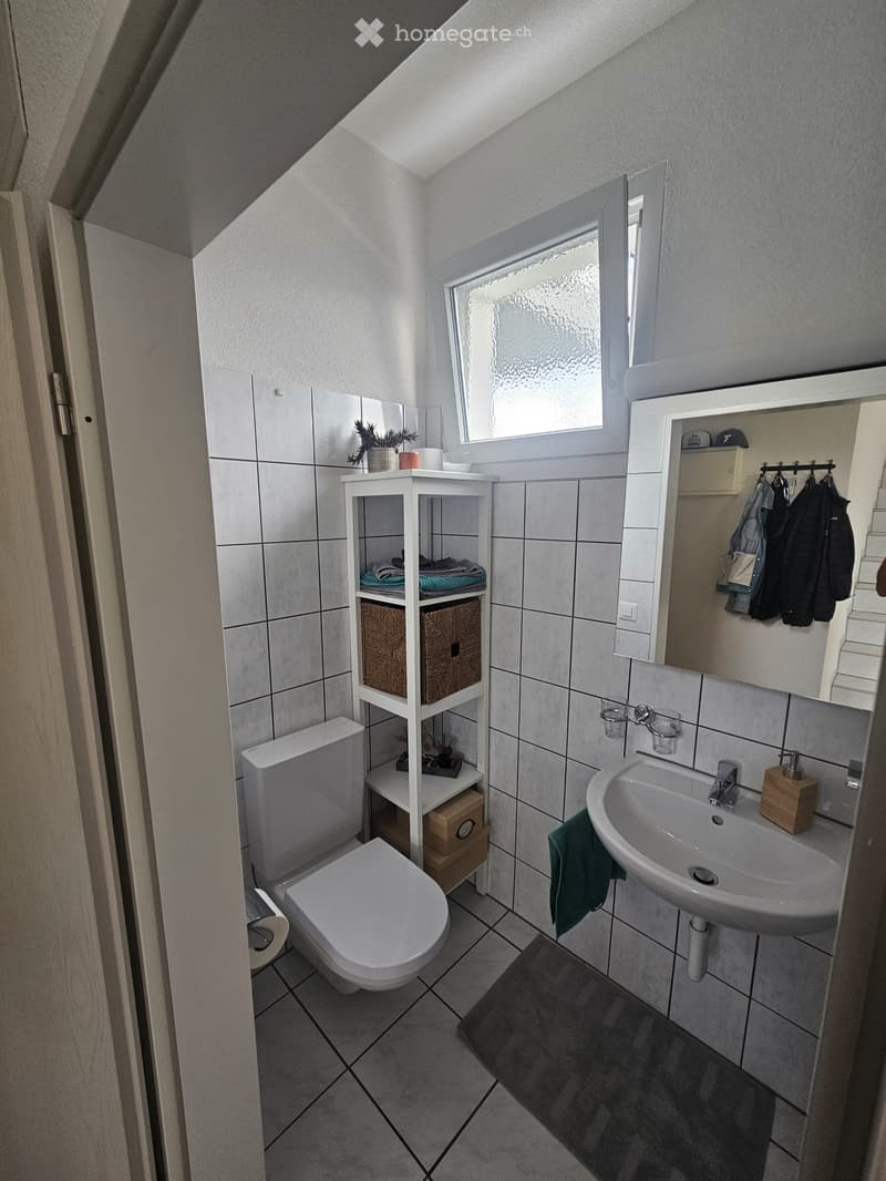 Modern bathroom with white tiles, a toilet, a sink with a mirror, a small shelf with towels and a plant, and a wicker basket on the floor.