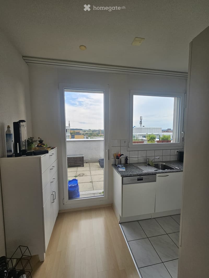 Modern kitchen with white cabinets, granite countertop, stainless steel sink and dishwasher, and a small balcony with potted plants visible through the window.