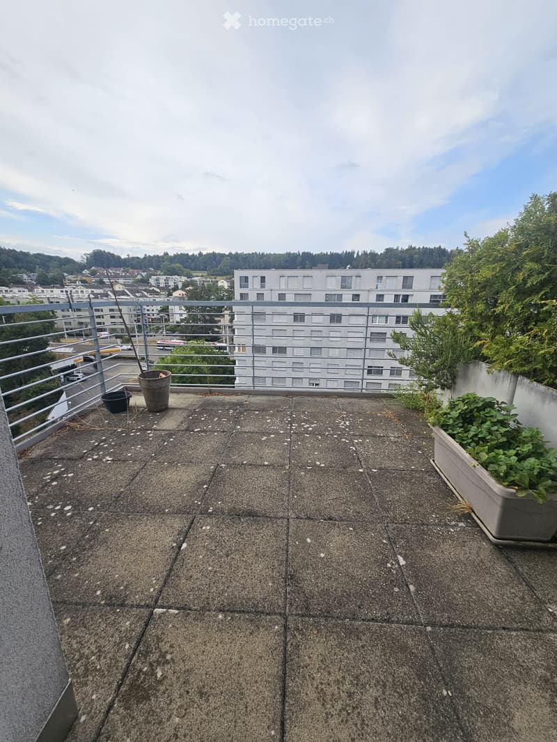 Roof terrace with concrete tiles, metal railing, and potted plants, overlooking a cityscape with buildings and greenery.