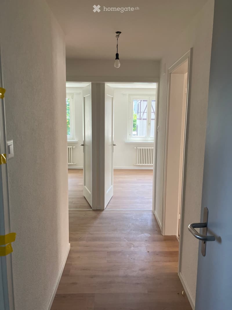 Empty hallway with wooden flooring, white walls, and a single hanging light fixture. Doors lead to adjacent rooms.