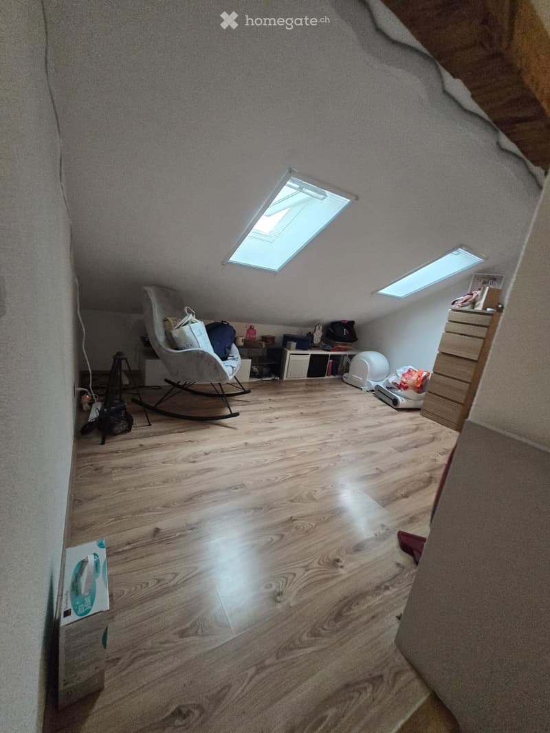 Attic room with wooden flooring, skylights, rocking chair, small table, storage unit, and cat litter box.