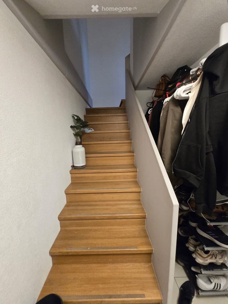 Wooden staircase with white walls, small plant, and coat rack with jackets and shoes on the right side.