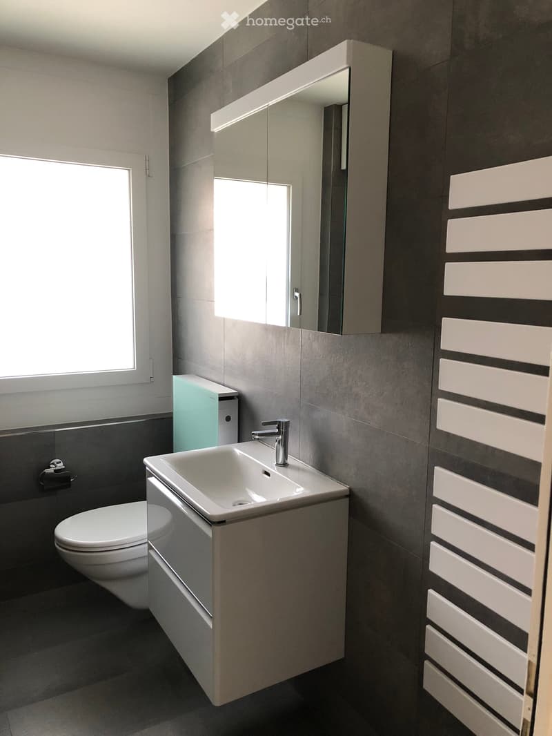 Bathroom: modern design with grey tiled walls, white cabinet with sink, mirror, and chrome faucet, white toilet, wall-mounted toilet roll holder, radiators, and a window