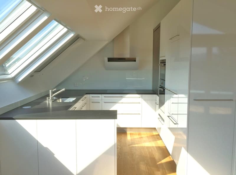 Modern kitchen with white cabinets, stainless steel sink, and wooden flooring, illuminated by skylights.